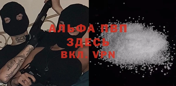 apvp Кукмор